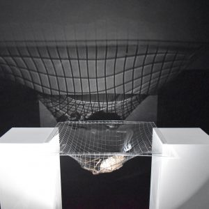 An image of the artists' work. Two white plinths stand almost a metre apart, with a clear square plastic sheet between them. The sheet has some unspecified objects in it's centre, and a grid pattern across it. A light source shines through the sheet, making a large shadow of the grid on a dark wall behind.