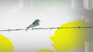 a white and yellow background. a small drawing of a bird sat on barbed wire.