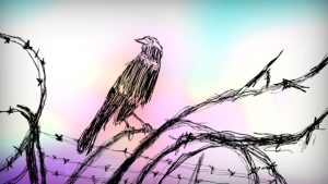 still from an animation. the background is light pink. a digital drawing of a blackbird sat on barbed wire. the drawing is sketchy and quick,