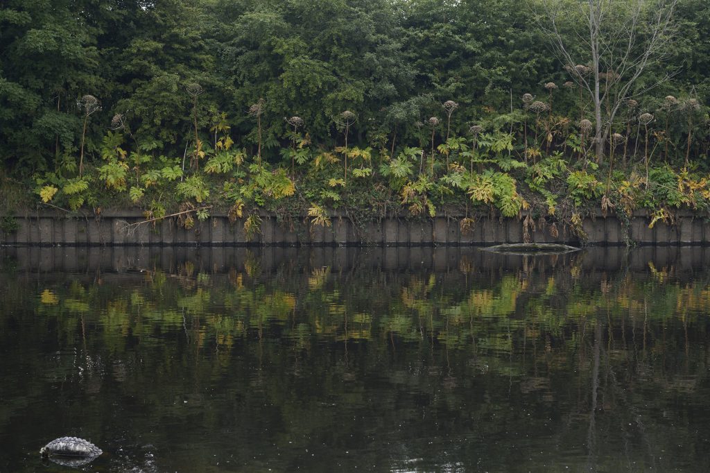 a river and riverbank in salford