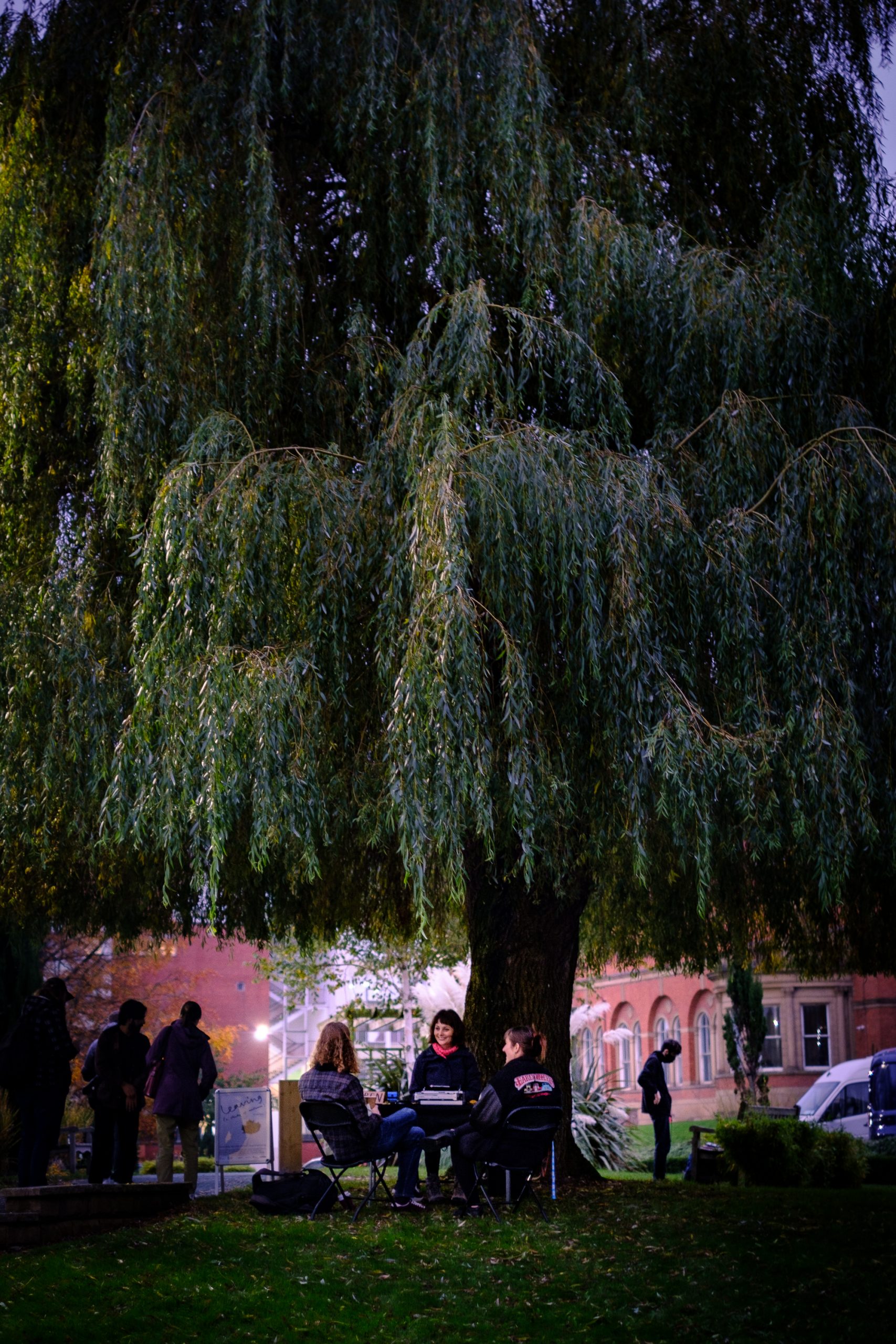 A large willow tree takes up most of the image. Underneath the tree, three people sit chatting and smiling around a small table. The image was taken around sunset, so the light is beginning to fade. Passers by walk by.
