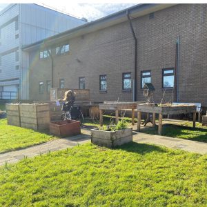 A photograph of Lizzie King in the University of Salford Community Growing Space.