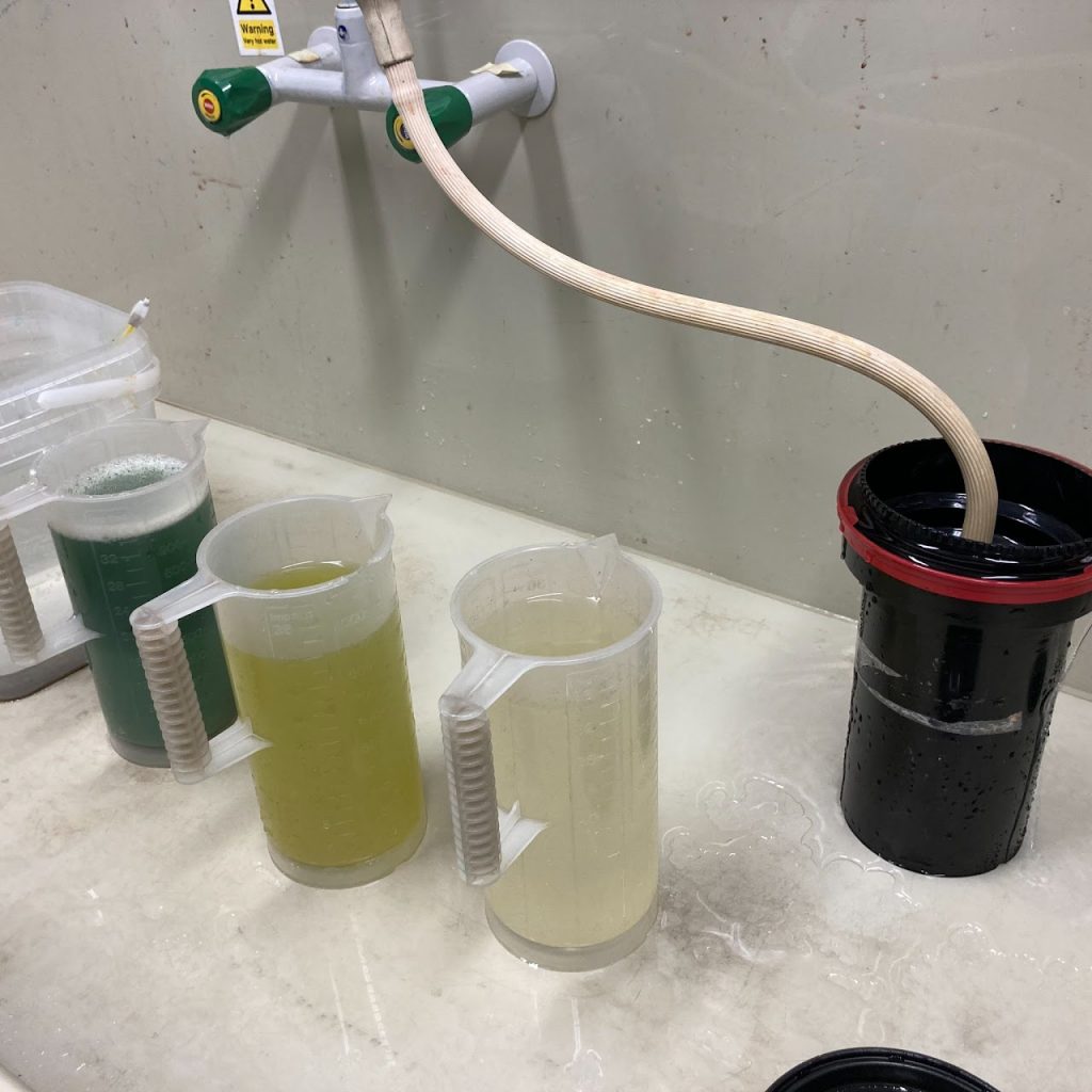 A photograph shows plant-based developing solutions in jugs, in a sink with a film developing tank. 