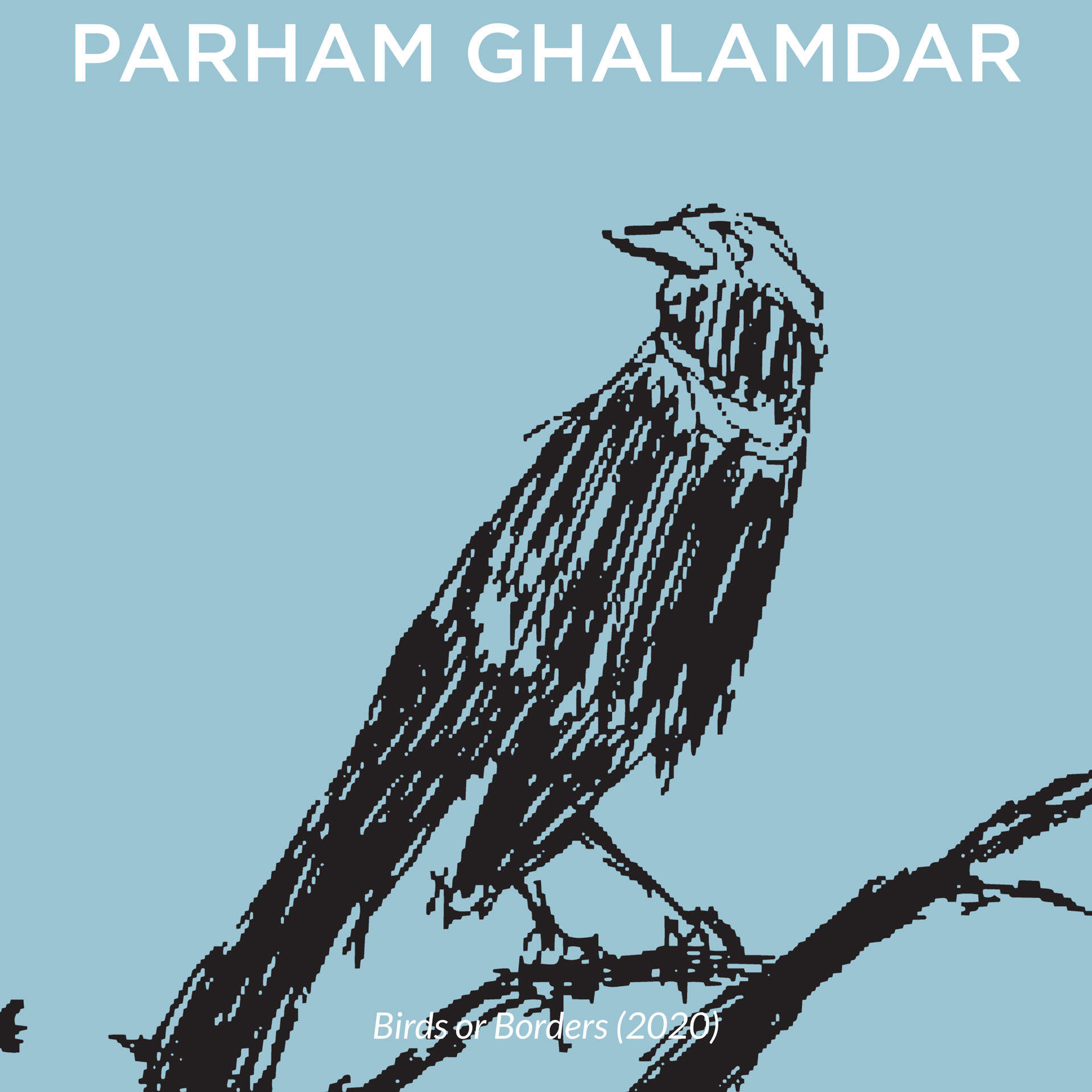 A drawing in black showing a bird sat on a branch. The background is a baby blue colour.