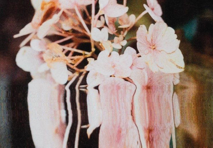 CATALYST: Scholar Spotlight – Katie Aird