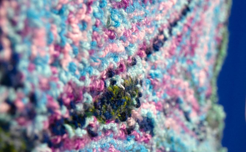 CATALYST: Scholar Spotlight – Alena Ruth Donely