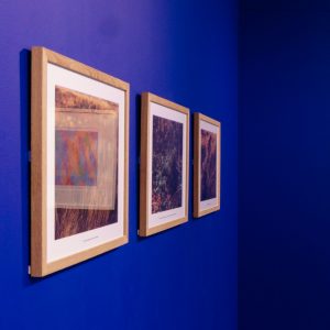 3 images taken by Alex Nelu in the Darwen Moores, framed and presented at 'Between the Earth and the Sky' 2025.