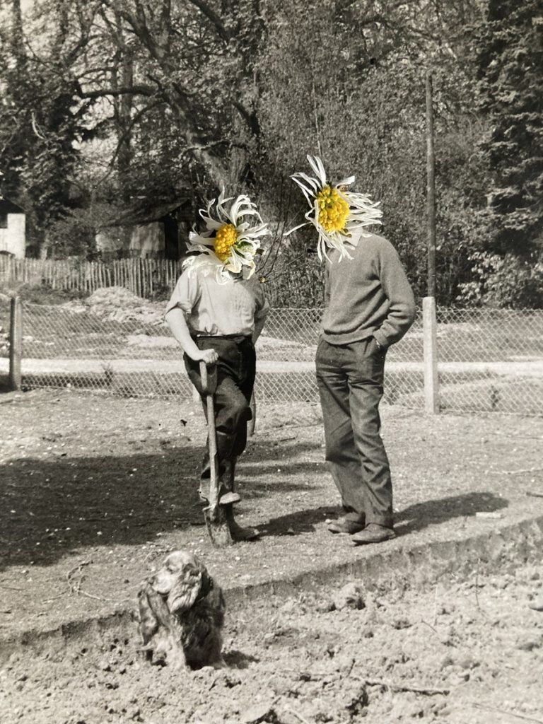 An artwork image by Liz Lock. A sepia toned photograph shows two people standing outdoors. Daisy flowers have been superimposed on their faces.