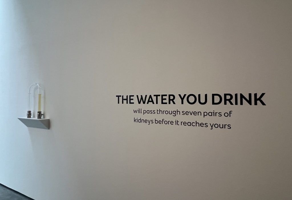 Installation artwork and wall text