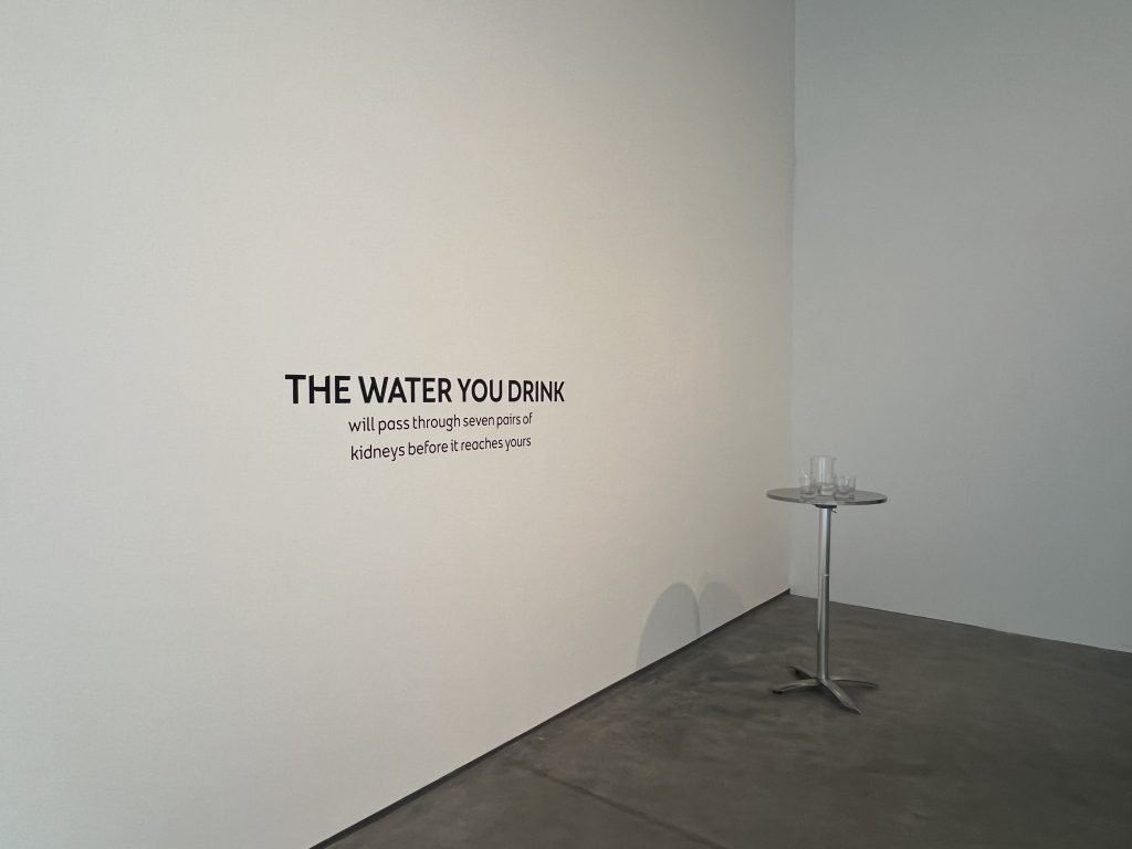 Artwork Installation and wall text