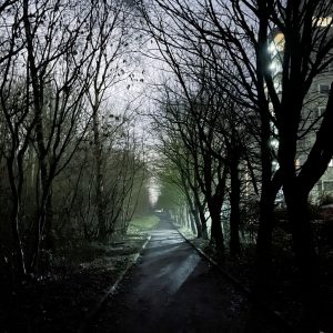 A path runs through a wooded area separating the trees, it is dusk and winter time as the trees are bald