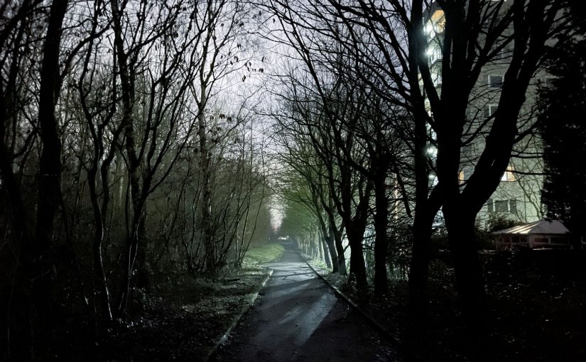 A path runs through a wooded area separating the trees, it is dusk and winter time as the trees are bald