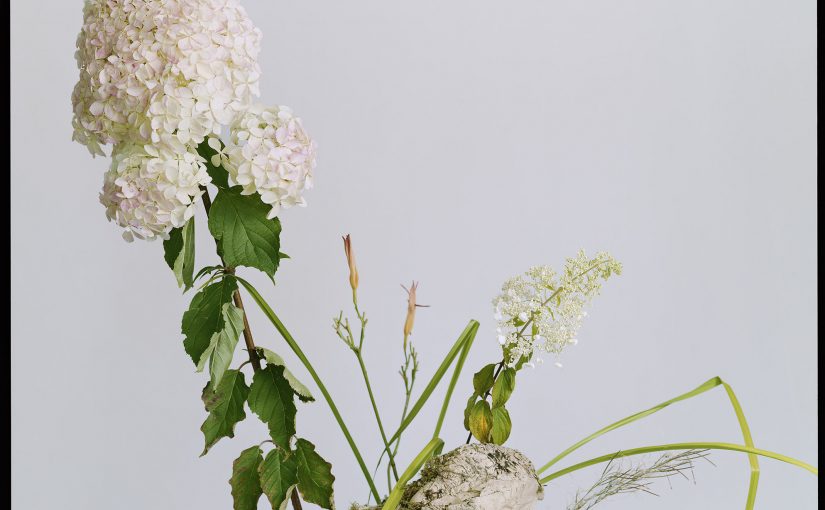 A flower arrangement of a white Hydrangea sticking out of a stone with long thin leaves and orange flowers of another plant.