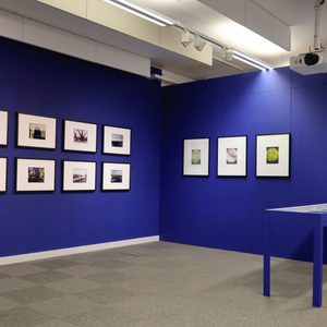 Install shot: a blue painted gallery space. Two walls have different sets of photographs, one landscapes, one microscopic imagery. A vitrine is to the left of them both, we cannot see the contents.