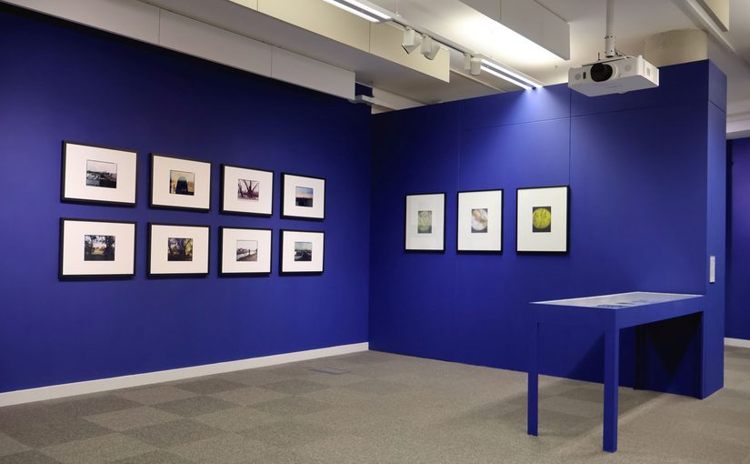 Install shot: a blue painted gallery space. Two walls have different sets of photographs, one landscapes, one microscopic imagery. A vitrine is to the left of them both, we cannot see the contents.