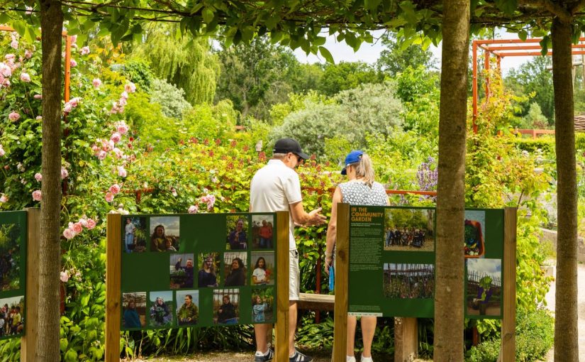 Two people standing the middle of a garden, with bushes and flowers, there is picture boards in front of them.